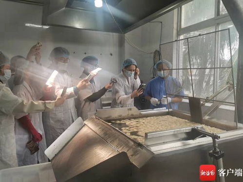 海南本土網(wǎng)紅探訪龍泉人食品工廠 為網(wǎng)友安全采購年貨 保駕護(hù)航